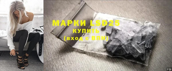 прущие грибы Алзамай