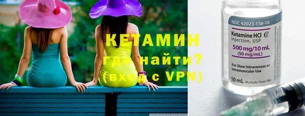 гашик Вяземский