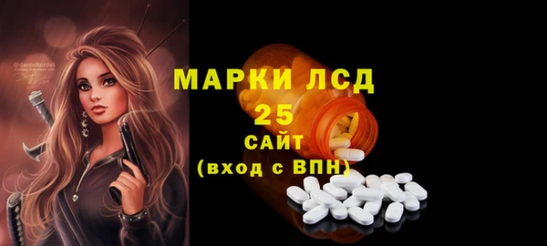 прущие грибы Алзамай