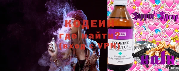 прущие грибы Алзамай