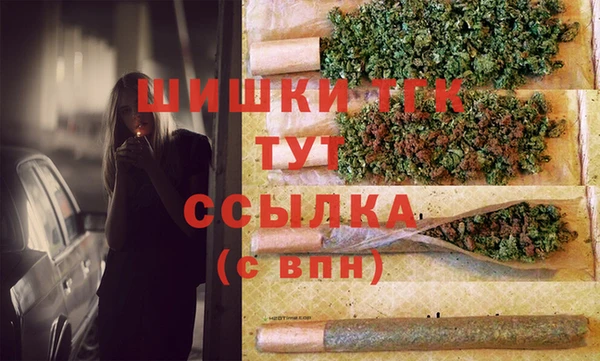 прущие грибы Алзамай